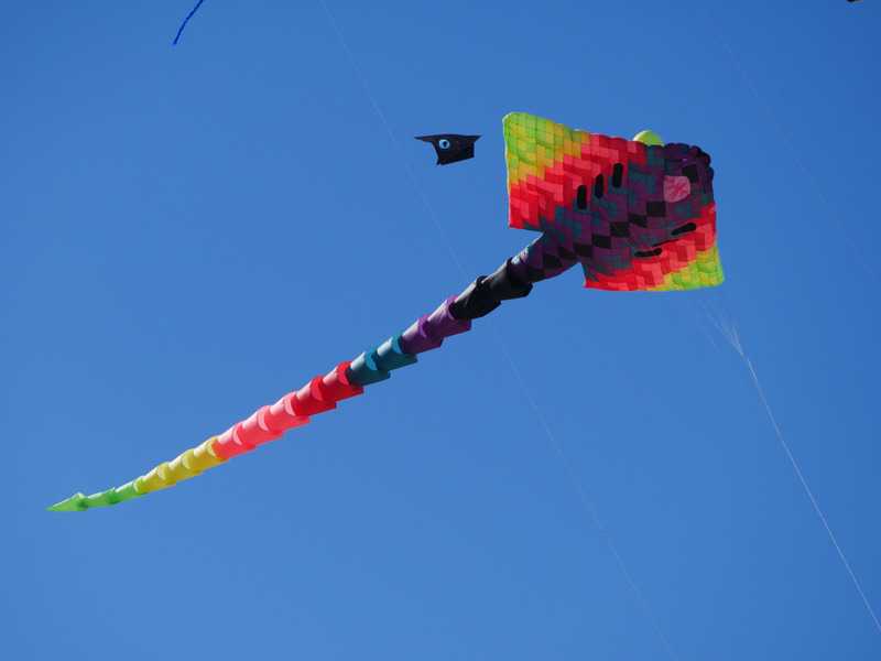 flying kite for digital nomad camp