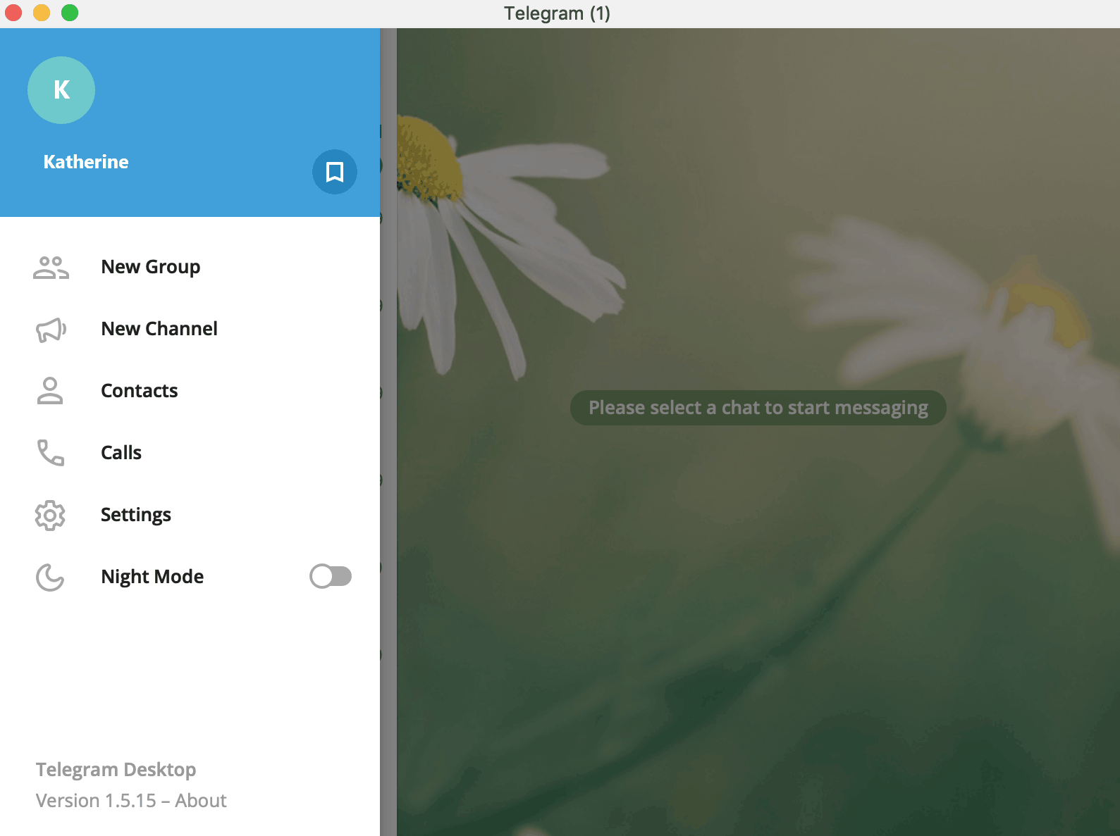 telegram desktop profile screen