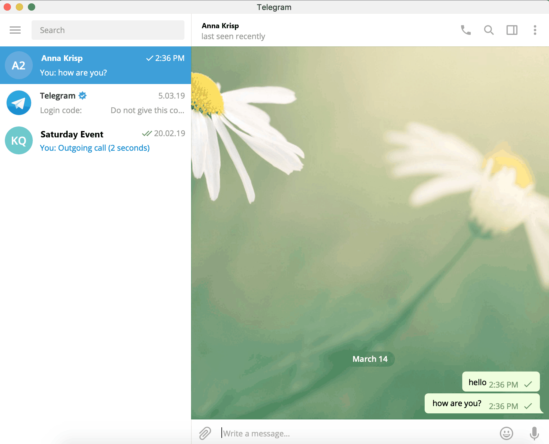 Telegram Chat Window