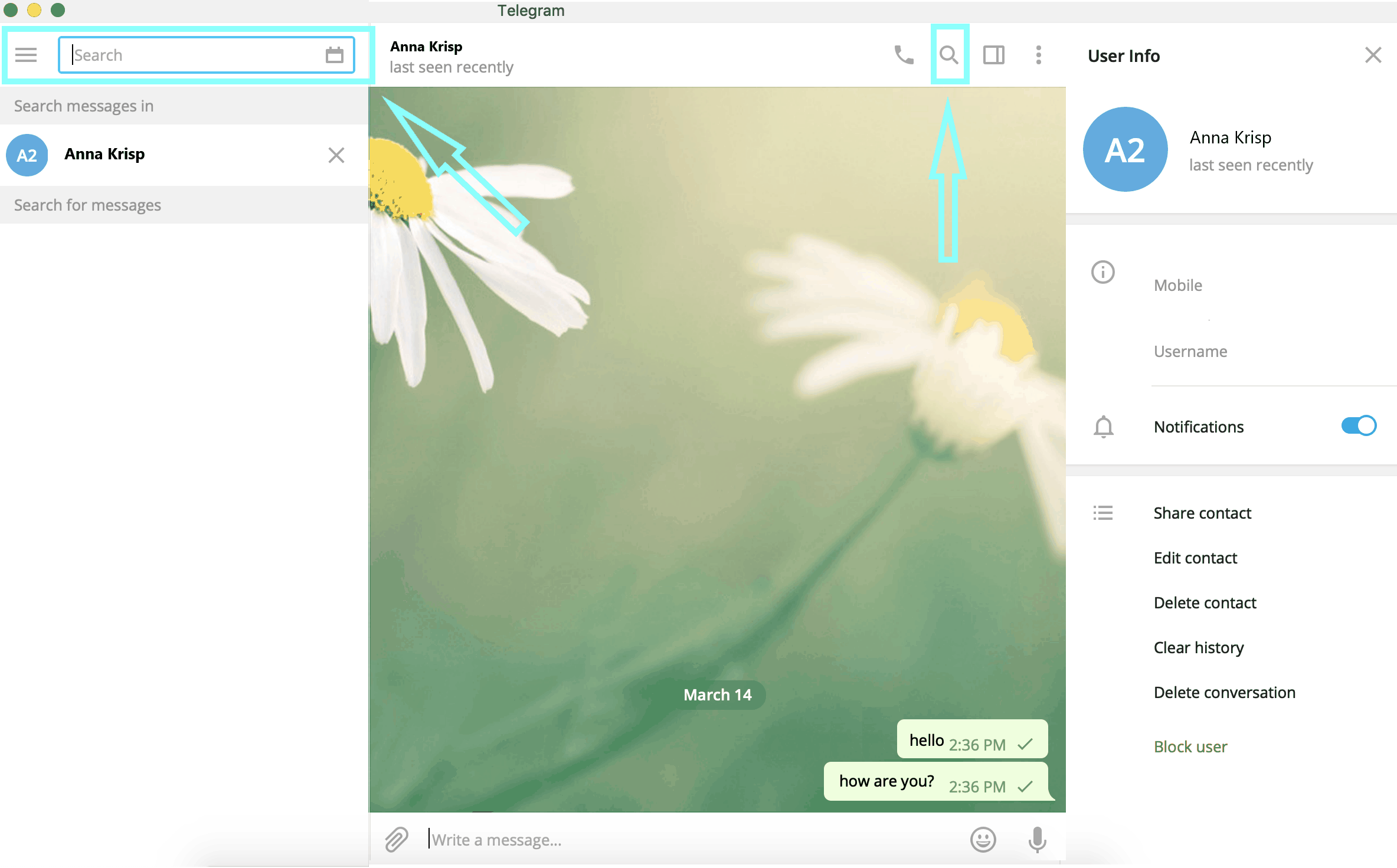Telegram search in chat