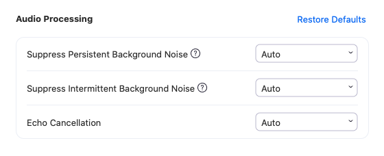 zoom noise cancelling