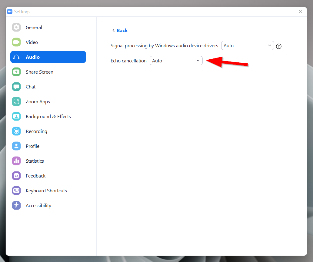 zoom echo cancellation