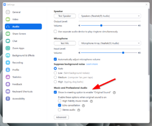 Zoom Noise Cancellation: How to Eliminate Background Noise & Echo