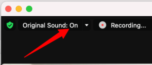 How to Record a Podcast on Zoom (Step-by-step guide)