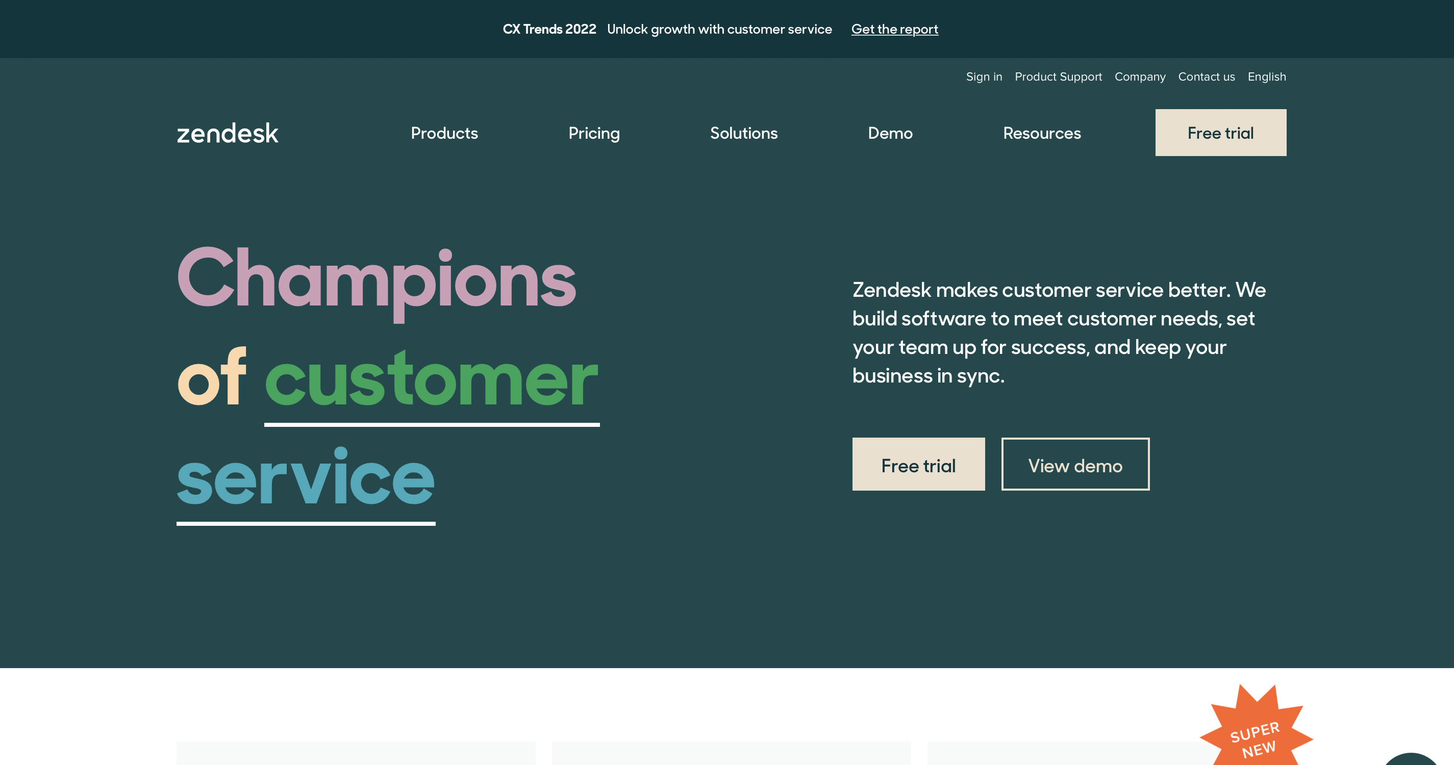 Zendesk customer experience tool