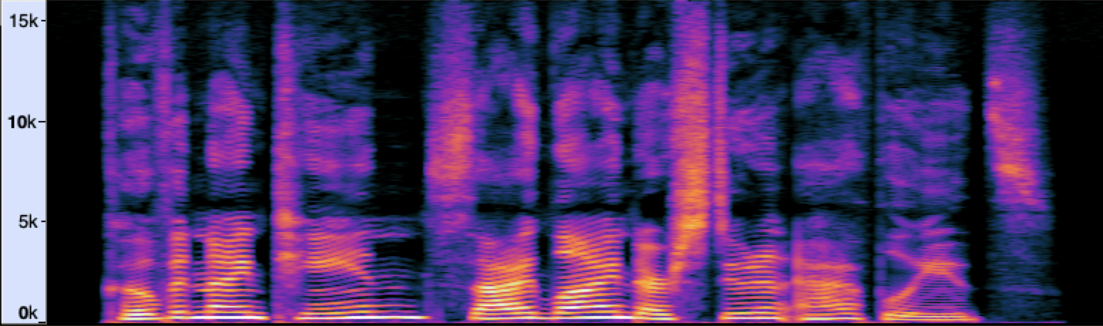 Spectrogram of a speech signal.