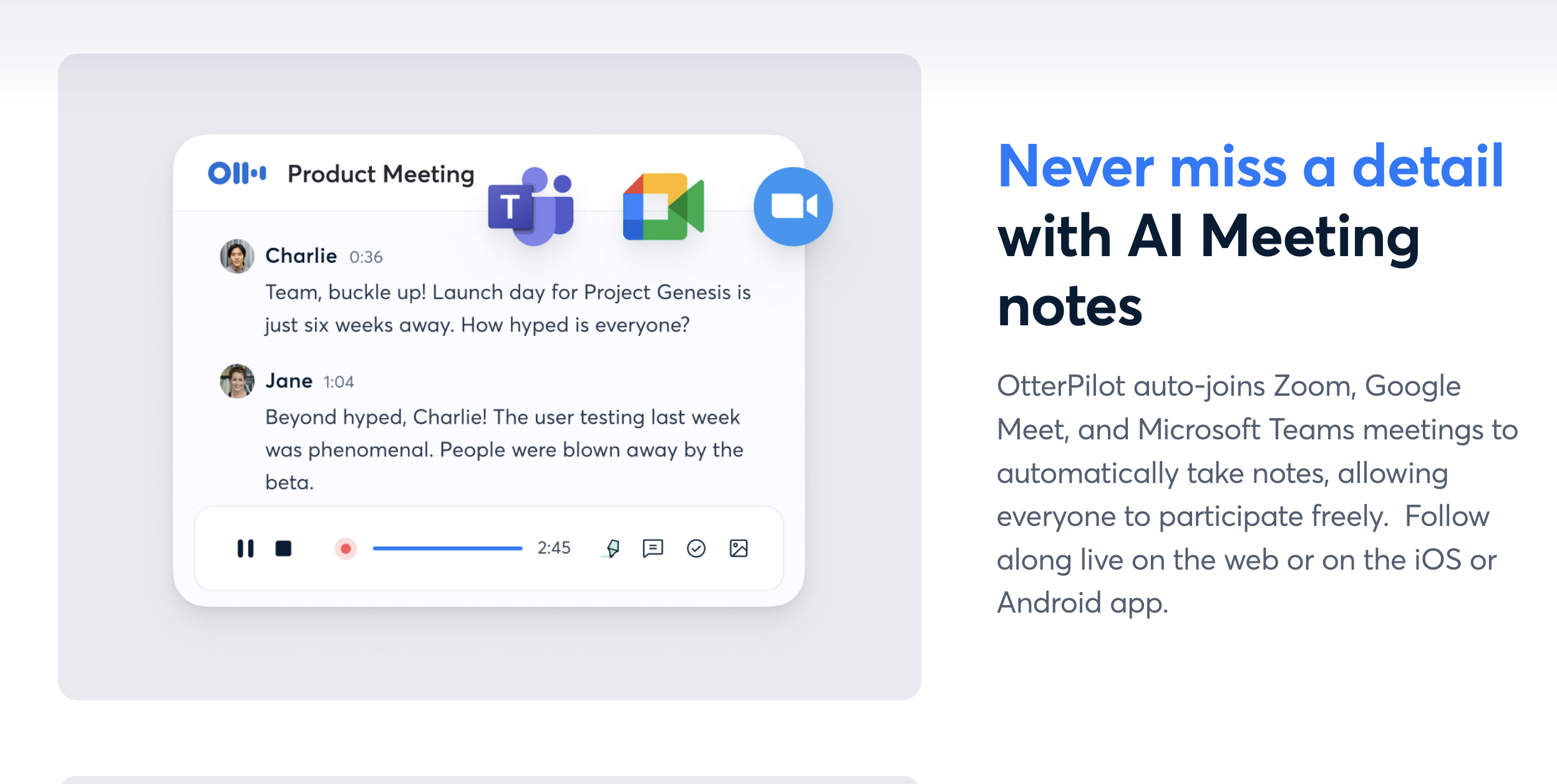 Otter.ai's meeting notes feature. 