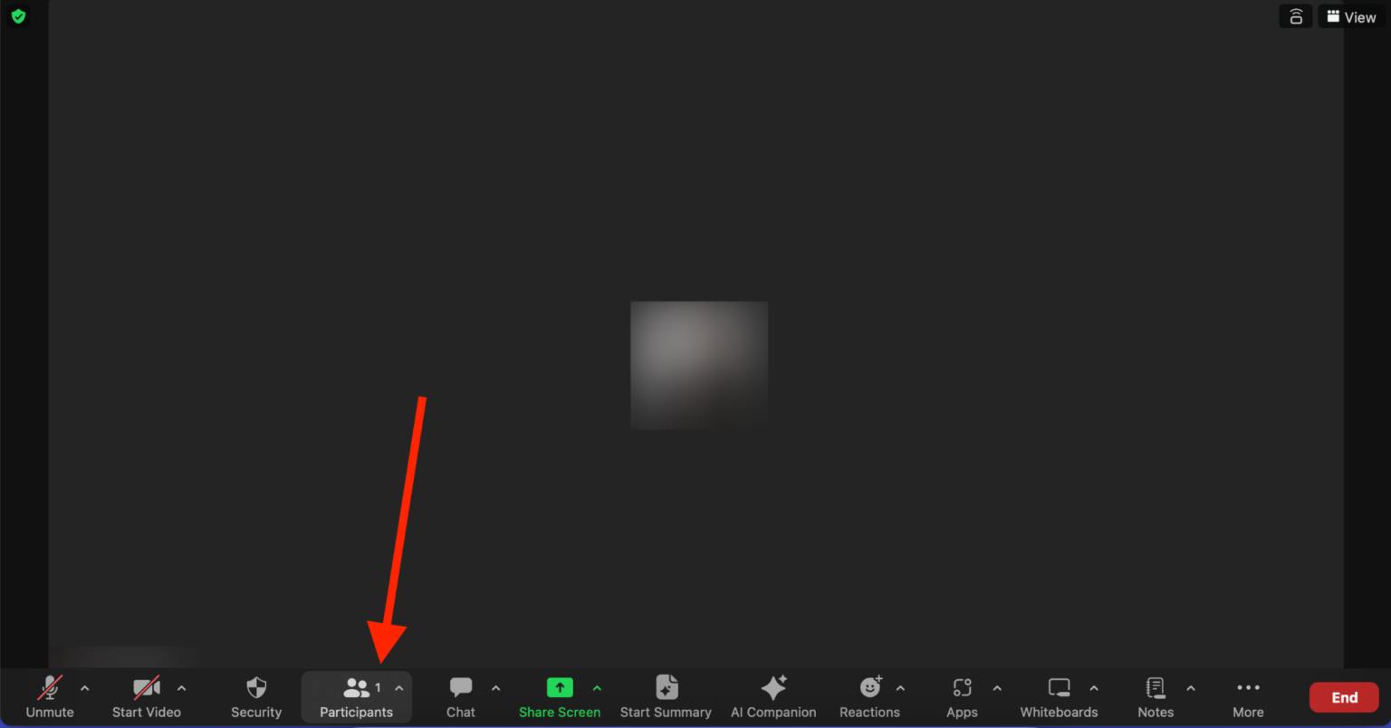 How to Change Name on Zoom Assuming a Fresh Identity Krisp