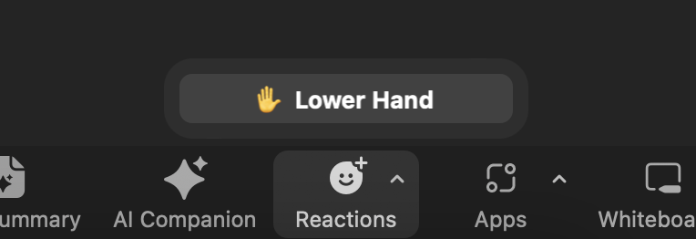 lower hand in zoom 