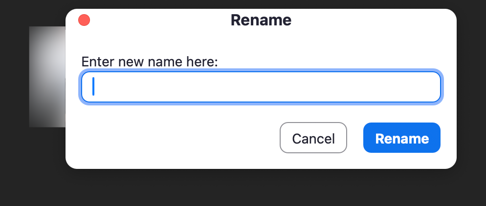 how to zoom name change