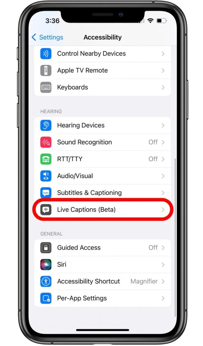 iPhone accessibility settings
