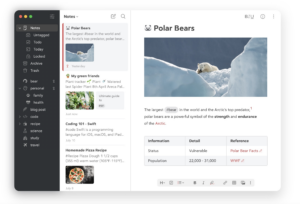Bear - one of the best tools for remote teams