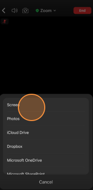 select what to share on Zoom screen on iOS