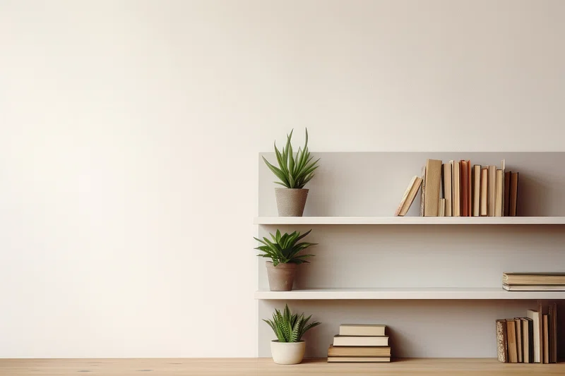 minimalist bookshelf