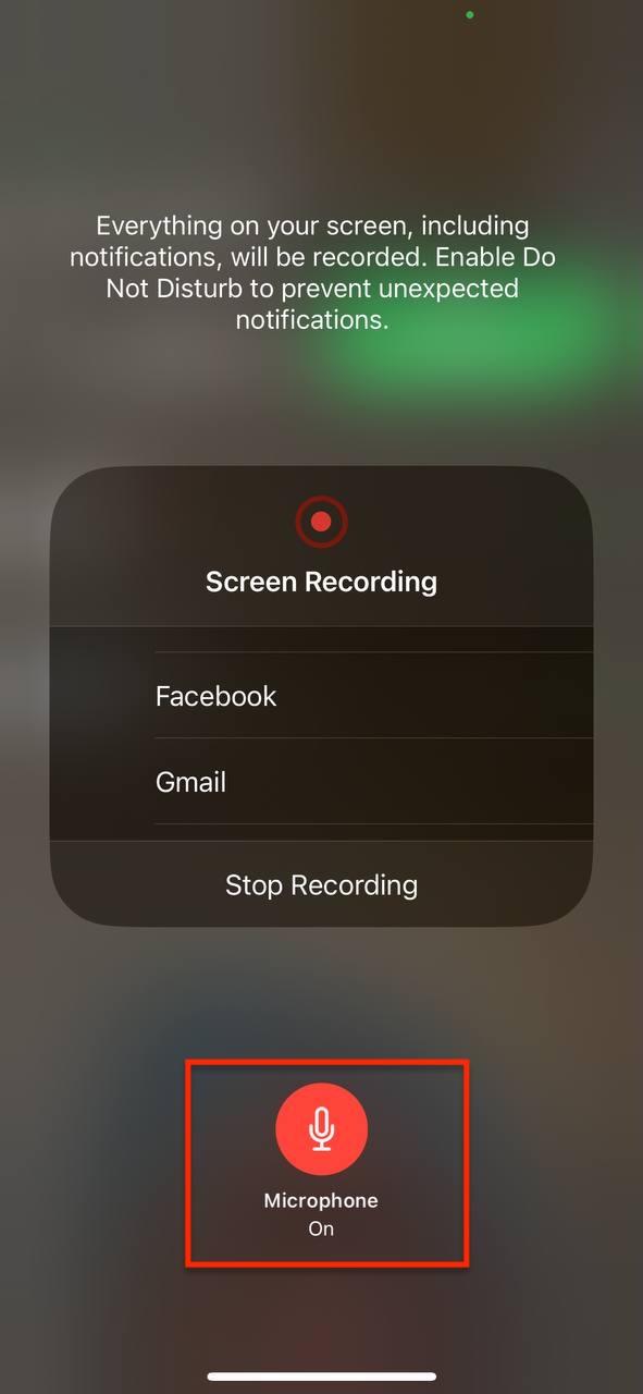 How to Screen Record FaceTime with Sound
