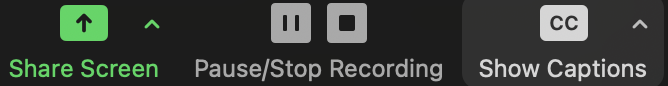 pause the zoom recording