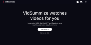 VidSummize