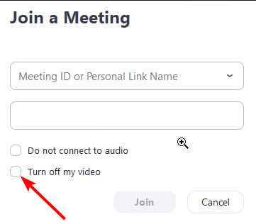 Zoom camera not working