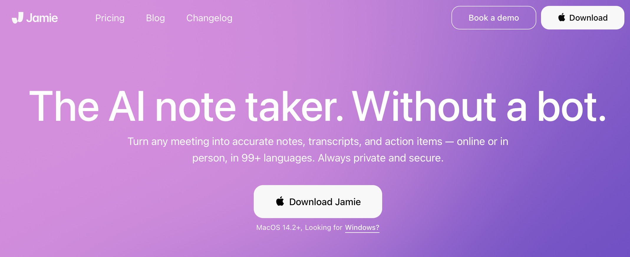 Jamie website screenshot